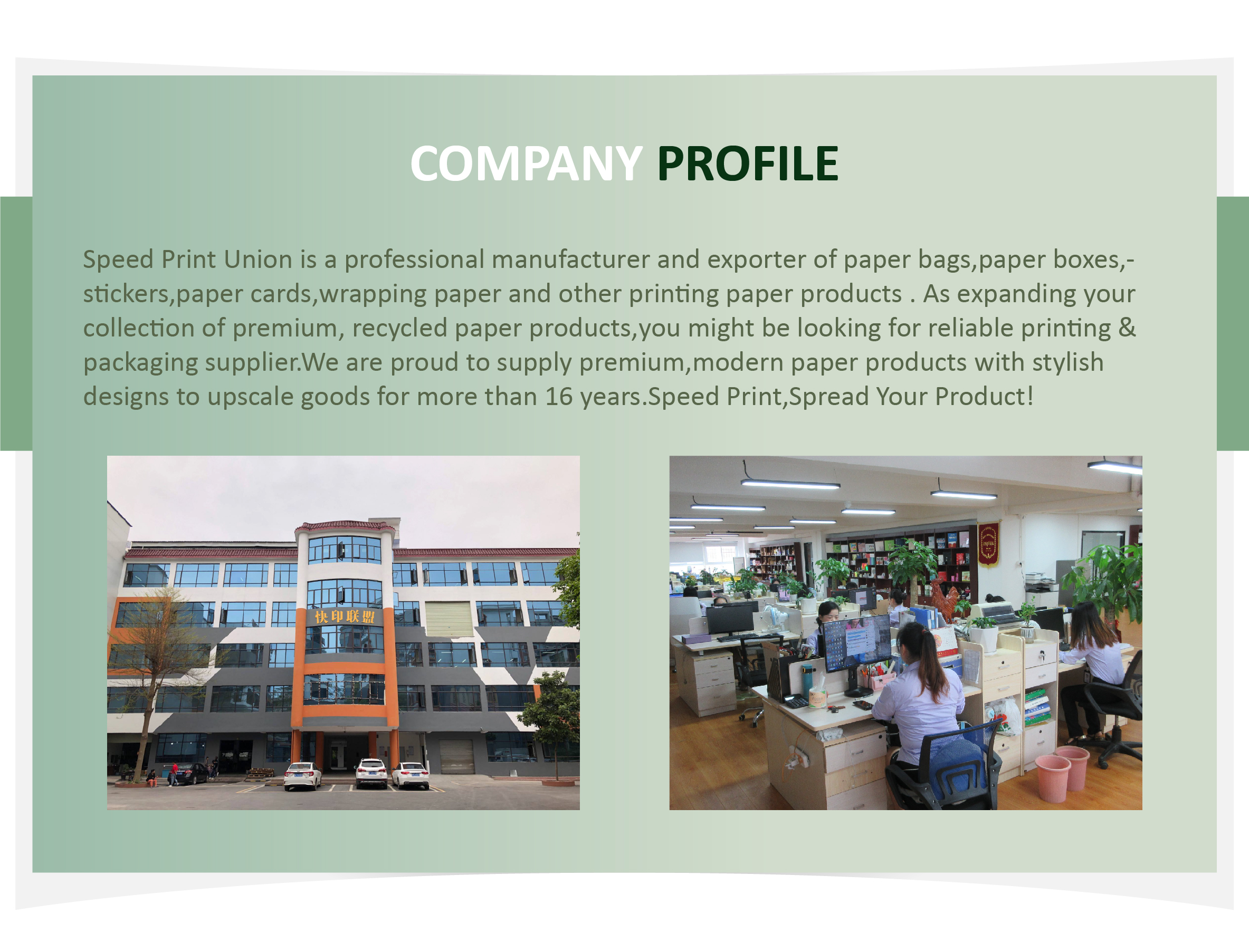 Company Overview 1