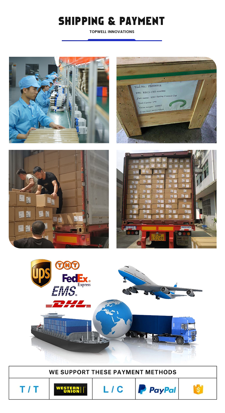 Shipping and Payment Details