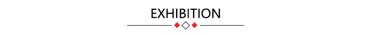 Exhibition Photo 1